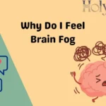 Why Do I Feel Brain Fog