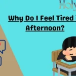 Why Do I Feel Tired in Afternoon?